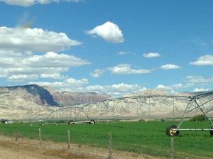 Utah Agriculture